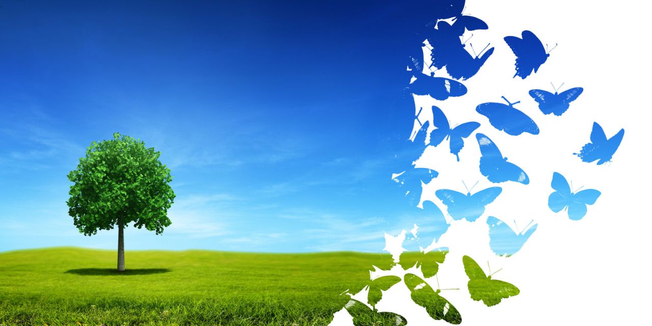 Portrait de Christophe Renner, nouvel associé chez Olentica, expert du traitement des émissions gazeuses.